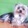 Maxi