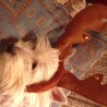 vicky
