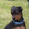Bruxi (Pequeños Valientes Xena)