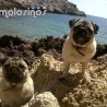 Nessie y Killa