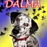 Dalma