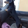 GOOFY