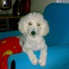 Lucy
