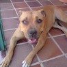 princesa