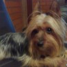 Nicky