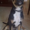 selket