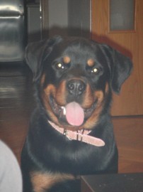 Nika