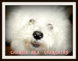 Charlie