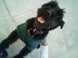 Lucrecio''Lucky''