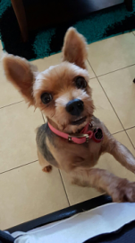 Mia 