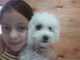 moli