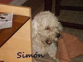 SIMON