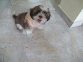 mateo!!