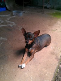 Molly