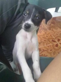 sasha garcia buitrago