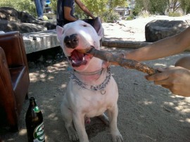 Neron