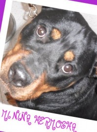 LAYKA