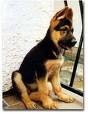 Kina