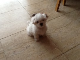 Winny