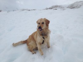 Marlon