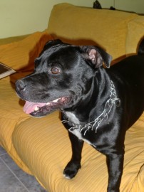 zeus