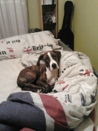 Shyra