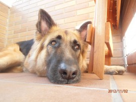 Kira