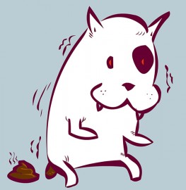 CACAPERRO