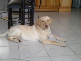 keila