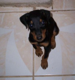 Tila