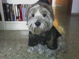 Pepa