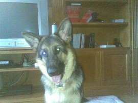 tyson