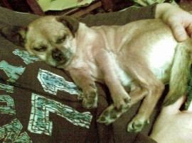Rubita