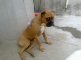 roki