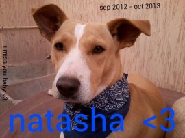 Natasha