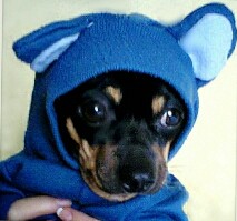 MYLO