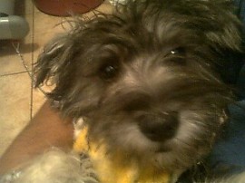 Tatiana