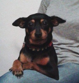 Lila