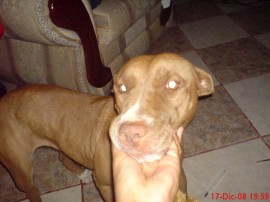 BARBYE