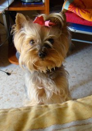 Lanna