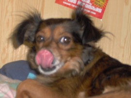 Dina
