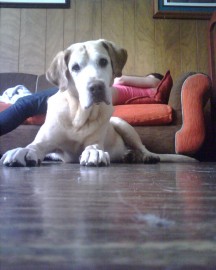 Ruffo