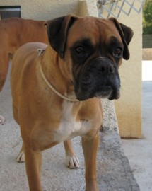 Betty