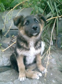 Martina