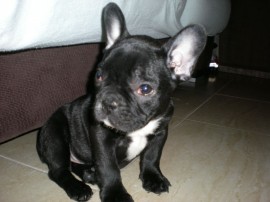 JACK