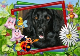 WALLACE