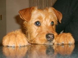 MARTINA