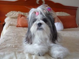 Pinky