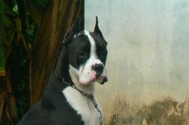 MISTERIO