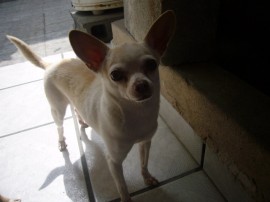RUFINA